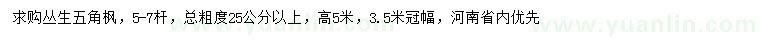 求購高5米叢生五角楓