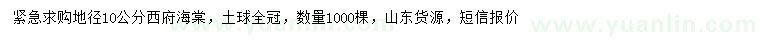 求購地徑10公分西府海棠