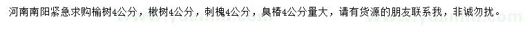 求購榆樹、楸樹、刺槐等