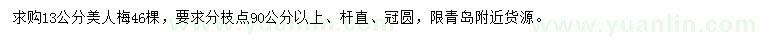 求購(gòu)13公分美人梅