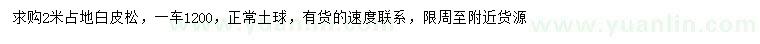 求購(gòu)2米白皮松