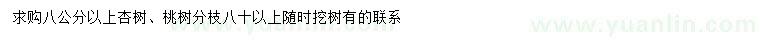 求購8公分以上杏樹、桃樹