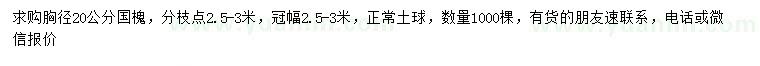 求購胸徑20公分國槐