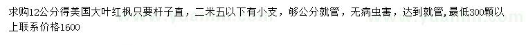 求購12公分美國大葉紅楓