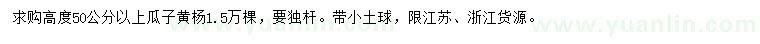 求購高50公分以上瓜子黃楊