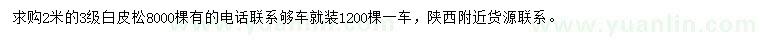 求購2米白皮松