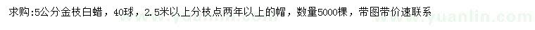 求購5公分金枝白蠟
