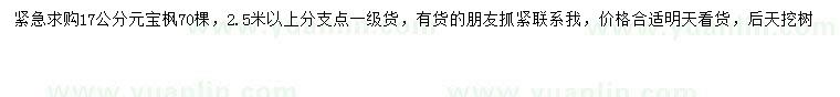 求購17公分元寶楓