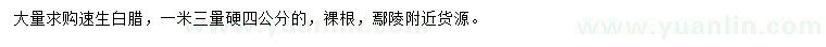 求購1.3米量硬4公分速生白臘