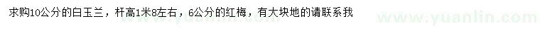 求購10公分白玉蘭、6公分紅梅