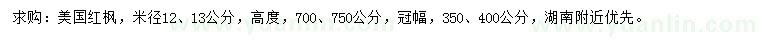 求購(gòu)米徑12、13公分美國(guó)紅楓