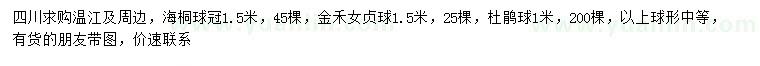 求購海桐球、金禾女貞、杜鵑球