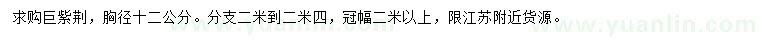 求購胸徑12公分巨紫荊