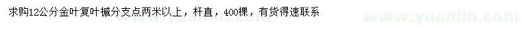 求購12公分金葉復(fù)葉槭