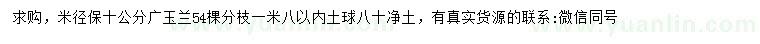 求購(gòu)米徑足10公分廣玉蘭