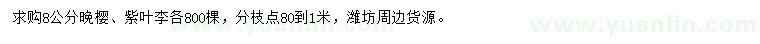 求購8公分晚櫻、紫葉李