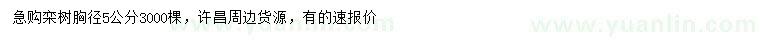 求購胸徑5公分欒樹
