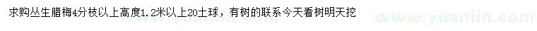 求購高1.2米叢生臘梅