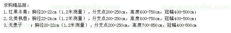 求購紅果冬青、北美楓香、無患子