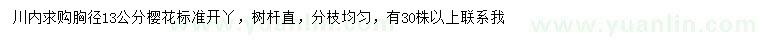求購胸徑13公分櫻花