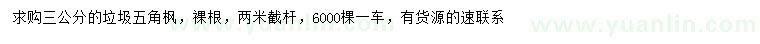 求購3公分垃圾五角楓