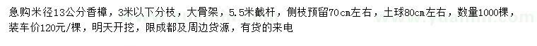求購米徑13公分香樟