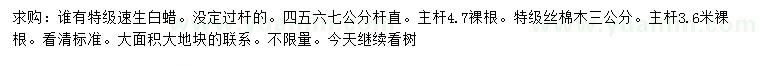 求購4、5、6、7公分速生白蠟、3公分絲棉木