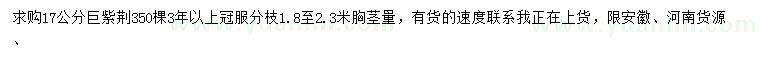 求購17公分巨紫荊