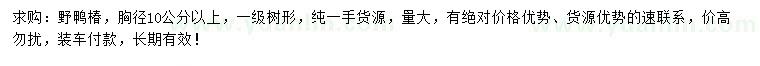 求購胸徑10公分以上野鴨椿