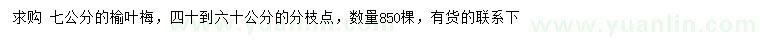 求購7公分榆葉梅