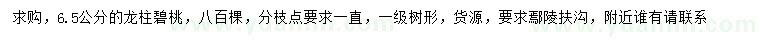 求購6.5公分龍柱碧桃