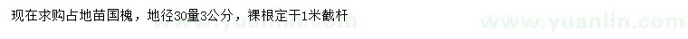 求購地徑30量3公分國槐