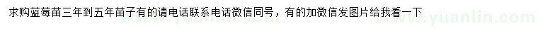 求購(gòu)三年到五年藍(lán)莓苗