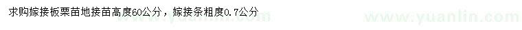 求購(gòu)高60公分嫁接板栗