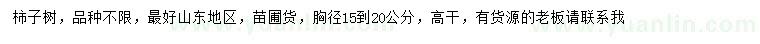 求購胸徑15-20公分柿子樹