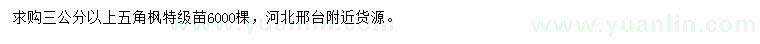 求購3公分以上五角楓