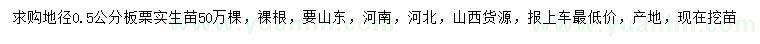 求購(gòu)地徑0.5公分板栗苗