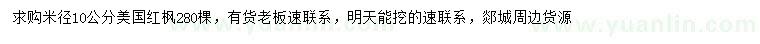 求購米徑10公分美國紅楓