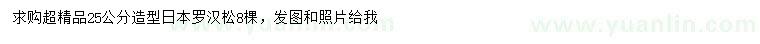 求購25公分超精品造型日本羅漢松