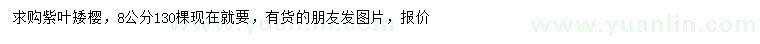 求購(gòu)8公分紫葉矮櫻