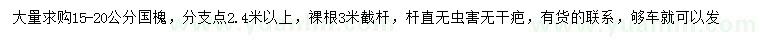 求購15-20公分國槐