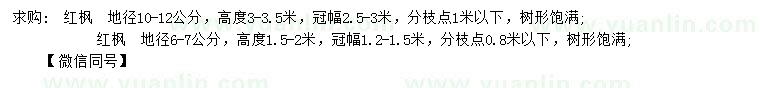 求購地徑6-7、10-12公分紅楓