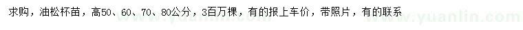 求購高50、60、70、80公分油松