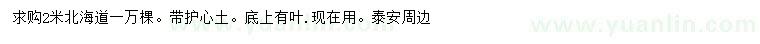 求購2米北海道