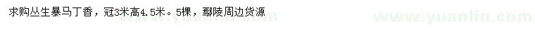 求購(gòu)高4.5米叢生暴馬丁香
