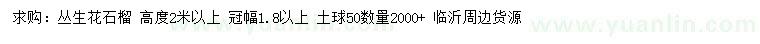 求購高2米以上叢生花石榴