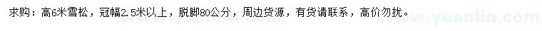求購高6米雪松
