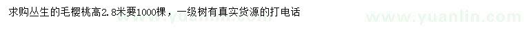 求購(gòu)高2.8米叢生毛櫻桃