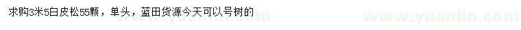 求購(gòu)3.5米白皮松