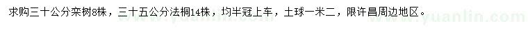 求購30公分欒樹、35公分法桐